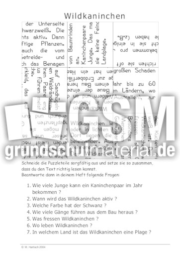 Wildkaninchen_puz.pdf